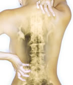 Orthopaedic & Joint Replacement Service