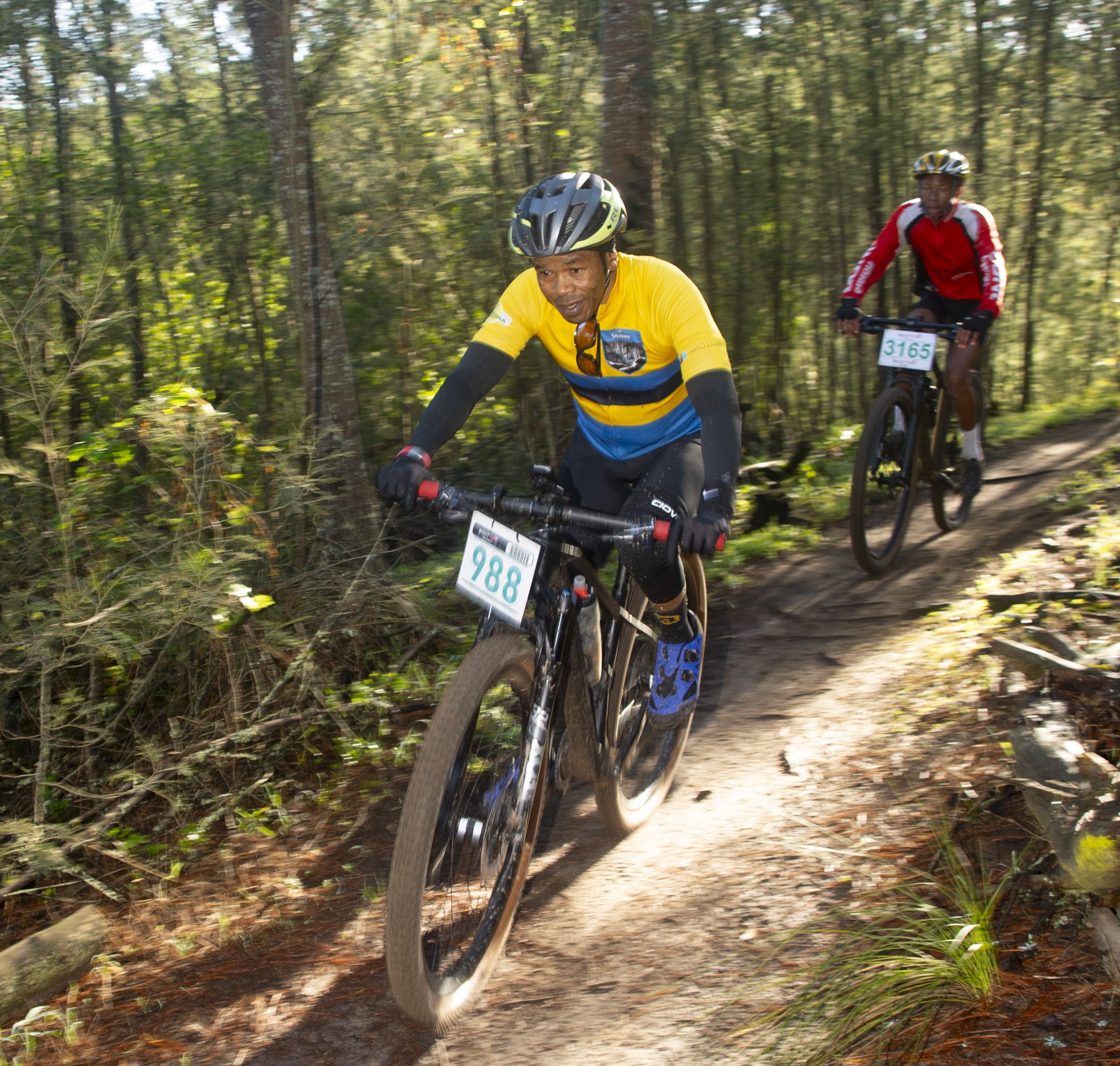 Knysna Cycle Tour